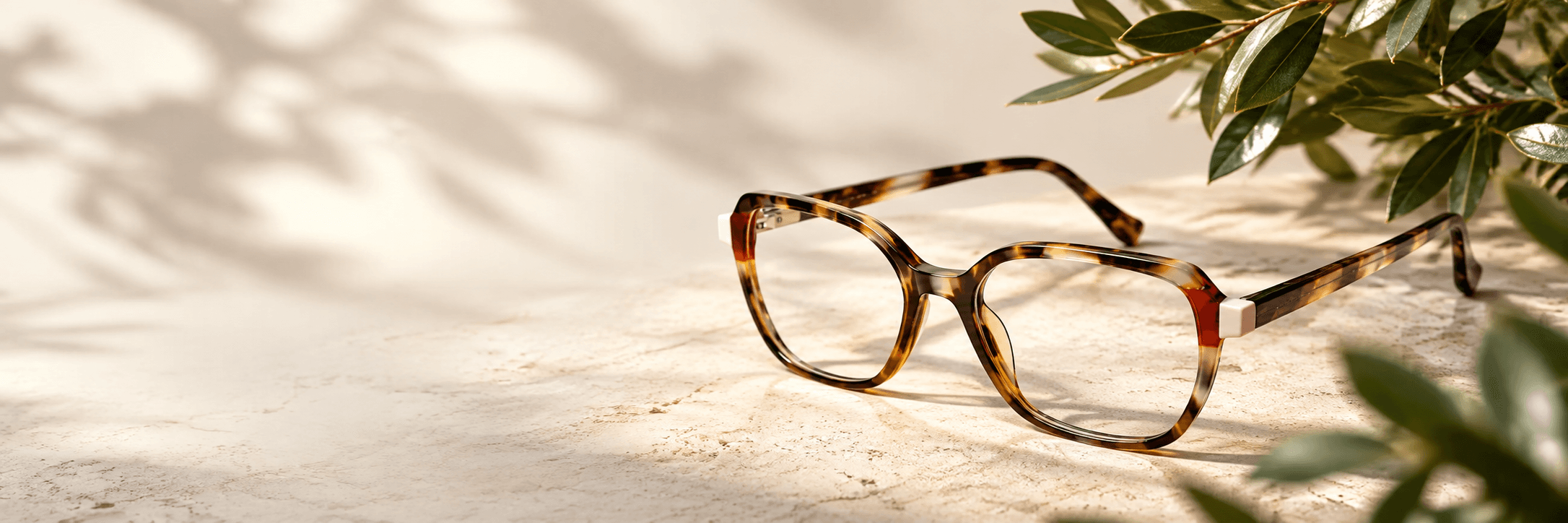 EVERYDAY lifestyle eyewear